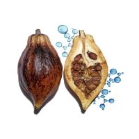 武汉冬对上吖商贸有限公司沁润奇肌保湿滋润护唇膏