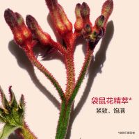 多维紧致平滑眼霜