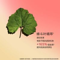 紧致身体霜