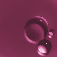 04甜蜜火龙果