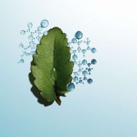 「不死鸟水精华」沁润奇肌保湿精华液