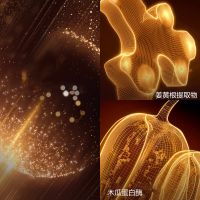 双萃精华粉底液