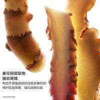 武汉冬对上吖商贸有限公司轻透防晒乳