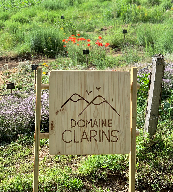 Les plantes