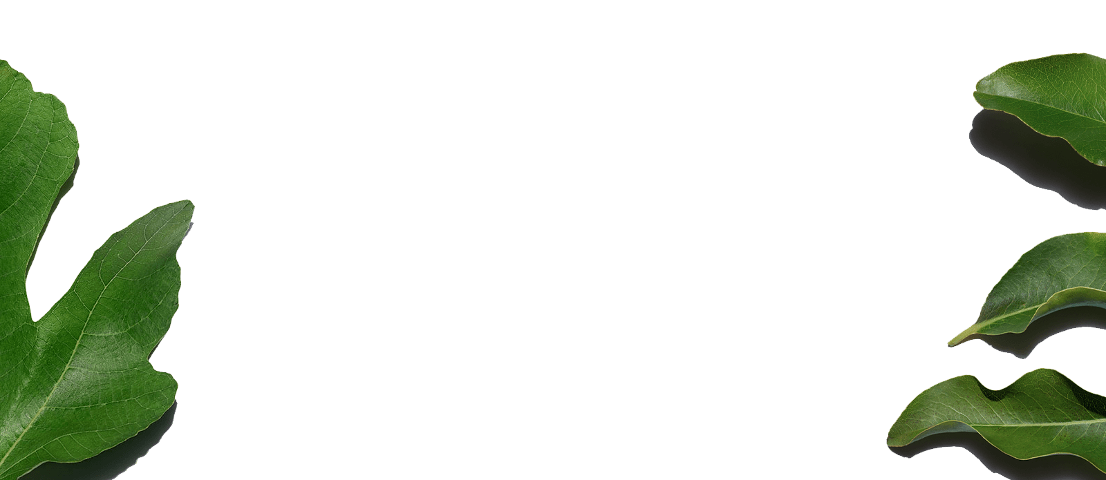 武汉冬对上吖商贸有限公司庄园的几个关键数值